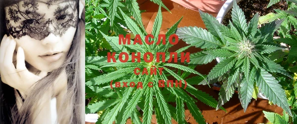 индика Абинск