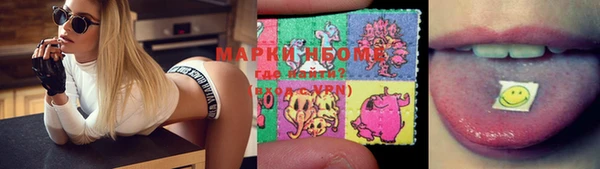 индика Абинск