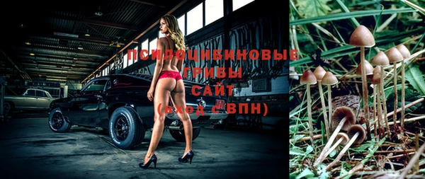 кокс Алексин