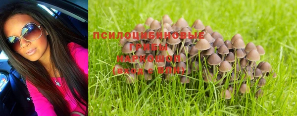 амф Алексеевка
