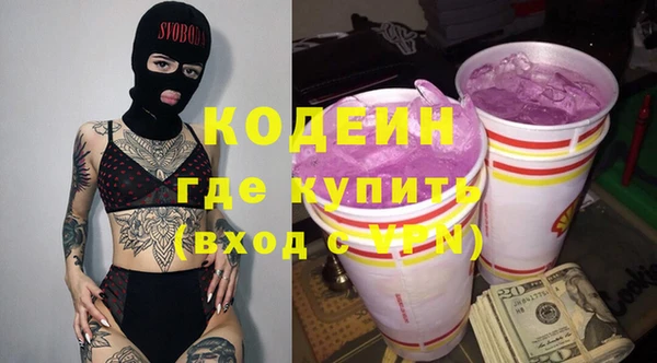 индика Абинск