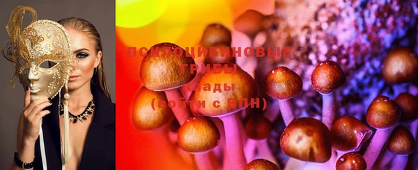 амф Алексеевка