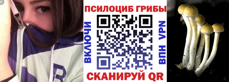Псилоцибиновые грибы GOLDEN TEACHER магазин наркотиков Хадыженск