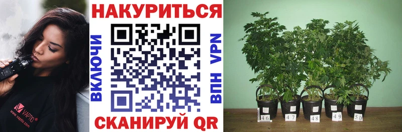Шишки марихуана тримм наркота Хадыженск